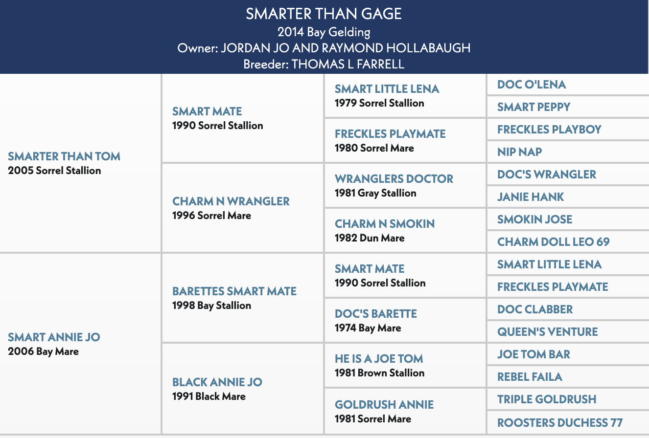 Four-generation pedigree chart for Smarter Than Gage, a 2014 bay gelding, listing sire Smarter Than Tom and dam Smart Annie Jo