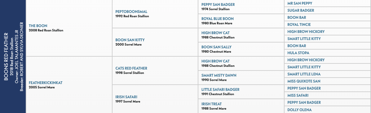 Five-generation pedigree chart for Boons Red Feather, a 2018 red roan stallion by The Boon out of Featherkickinkat