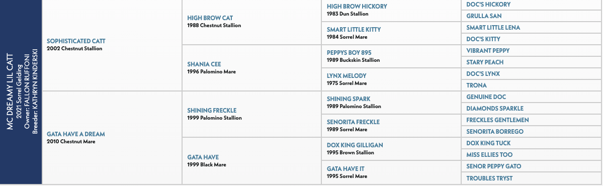 Five-generation pedigree chart for MC Dreamy Lil Catt, a 2021 sorrel gelding, listing sires and dams with birth years and colors