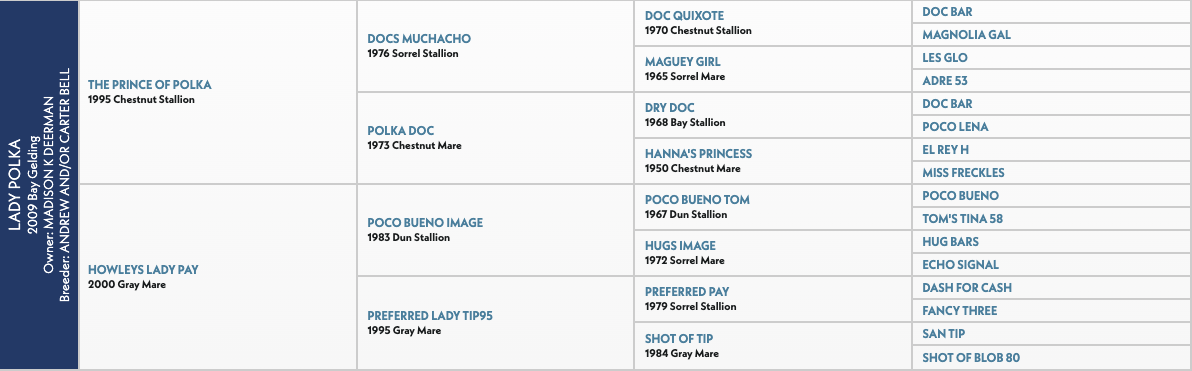 Five-generation pedigree chart for Lady Polka, a 2009 bay gelding, tracing back through Docs Muchacho, Poco Bueno and Doc Bar