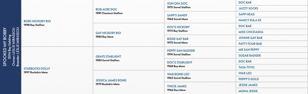 Five-generation pedigree chart for Spooked My Bobby, a 2014 bay gelding, tracing sires and dams back to Doc Bar and War Leo
