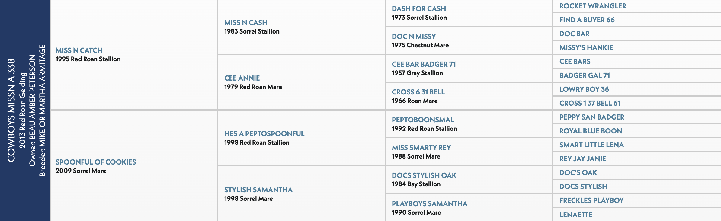 Five-generation pedigree chart for Cowboys Missn A 338, a 2013 red roan gelding, listing sires and dams by year and color