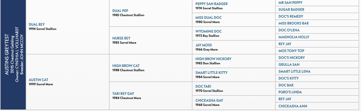 Five-generation pedigree chart for Austins Greytest, a 2015 chestnut gelding by Dual Rey out of Austin Cat