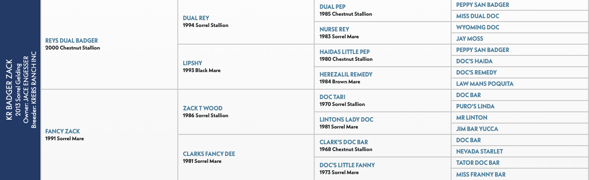 Five-generation pedigree chart for KR Badger Zack, a 2013 sorrel gelding, tracing back through Reys Dual Badger and Fancy Zack