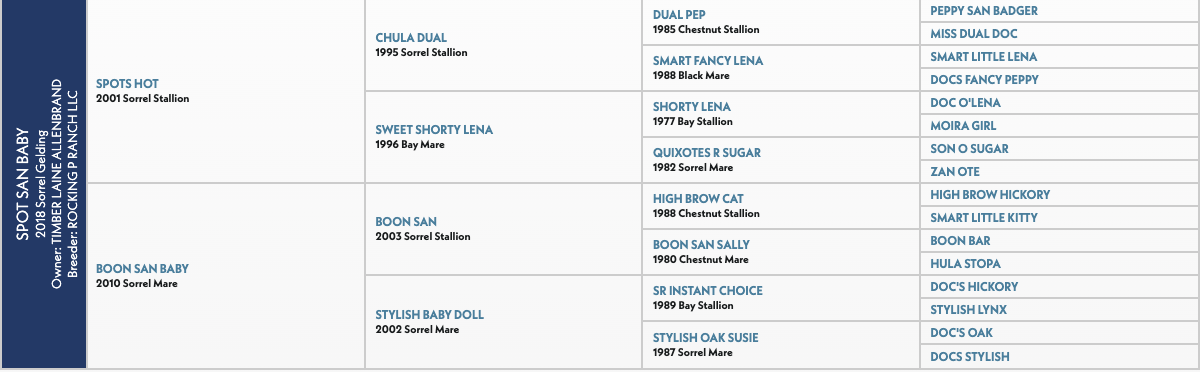 Five-generation pedigree chart for Spot San Baby, a 2018 sorrel gelding by Spots Hot out of Boon San Baby