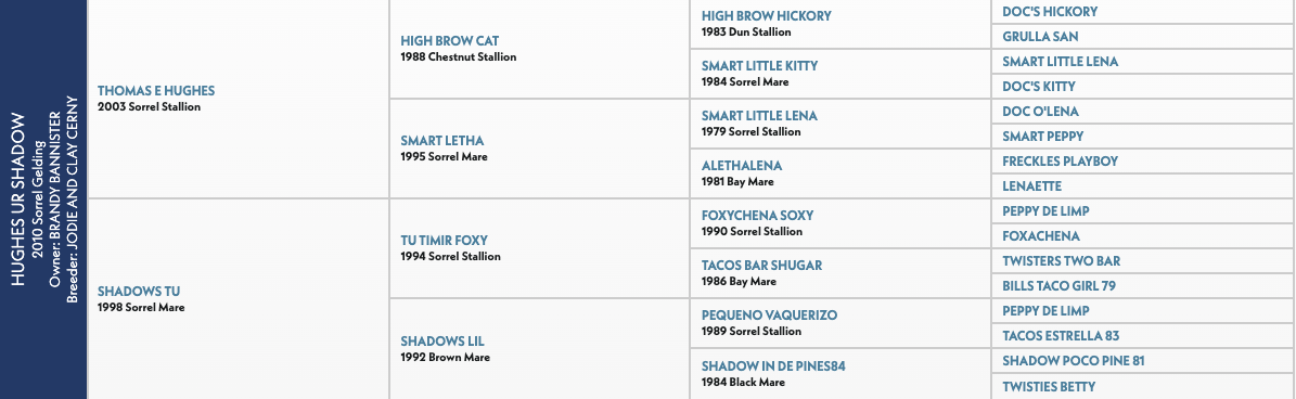 Five-generation pedigree chart for Hughes Ur Shadow, a 2010 sorrel gelding, tracing sires and dams back to High Brow Hickory and Doc O'Lena