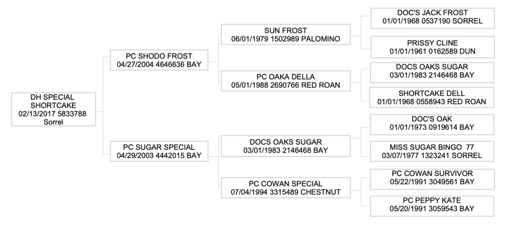 Four-generation pedigree chart for DH Special Shortcake, a 2017 sorrel, listing sires, dams, registration numbers and colors