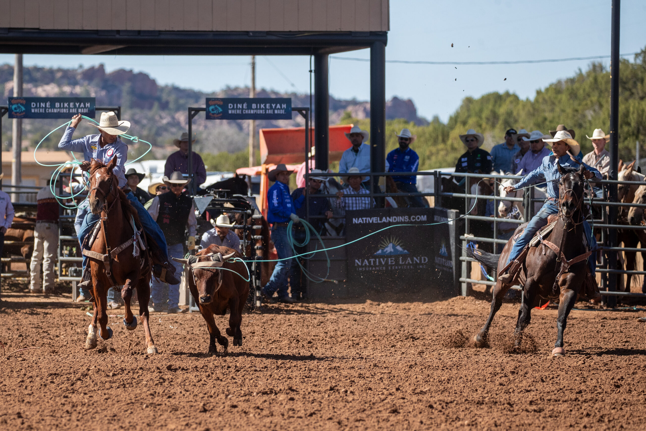 Team ropers compete during breakaway roping at Diné Bikeyah rodeo, with spectators watching from the stands under a clear sky