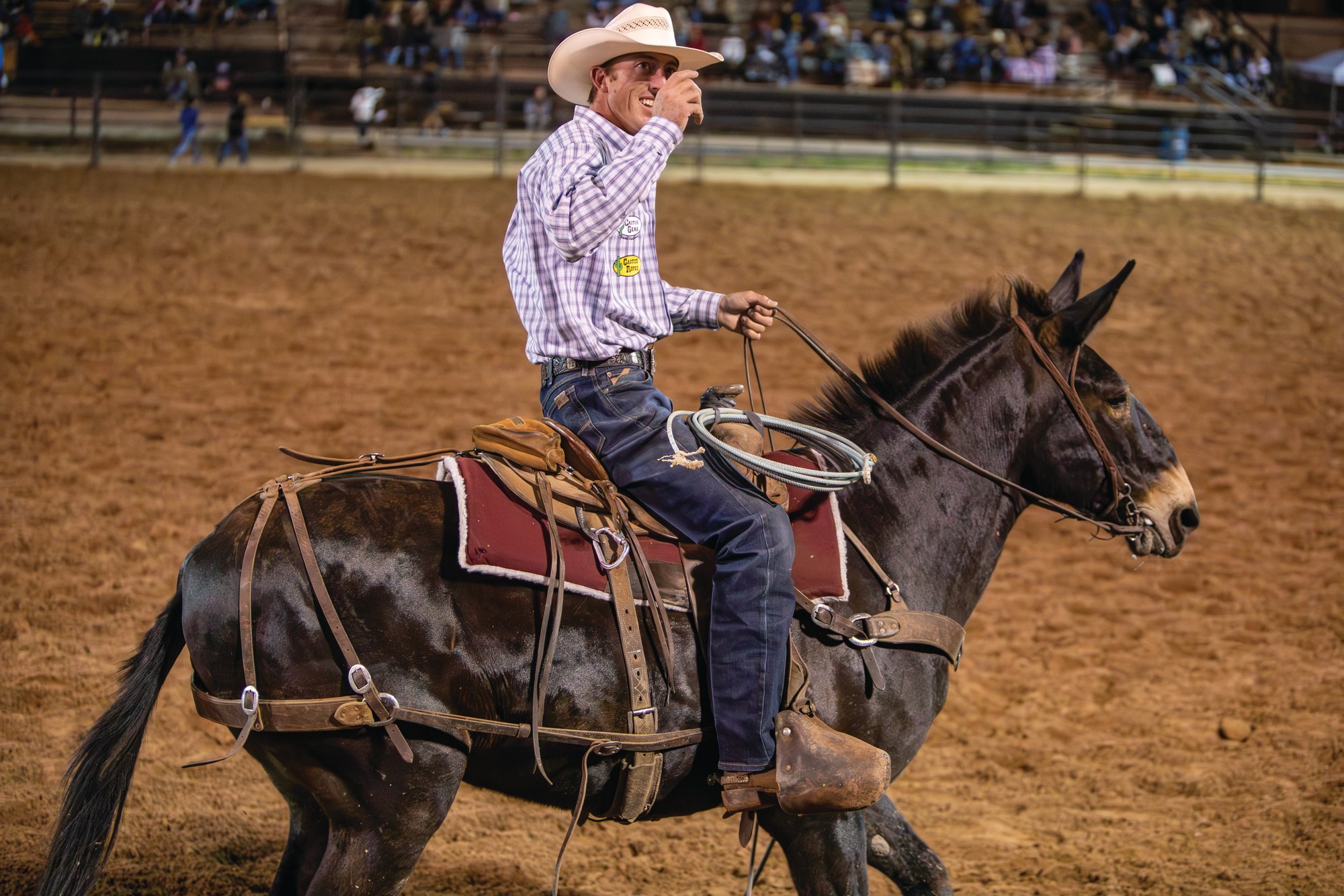 A rider takes a victory lap on Derrick Begay's mule John Henry