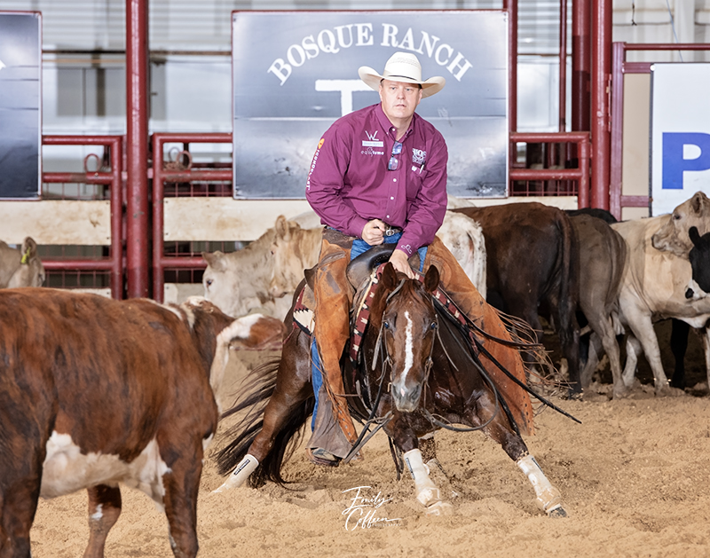 NCHA Horses of the Year: Rollz Eh, Red Lights and Boomereyious Top the Charts