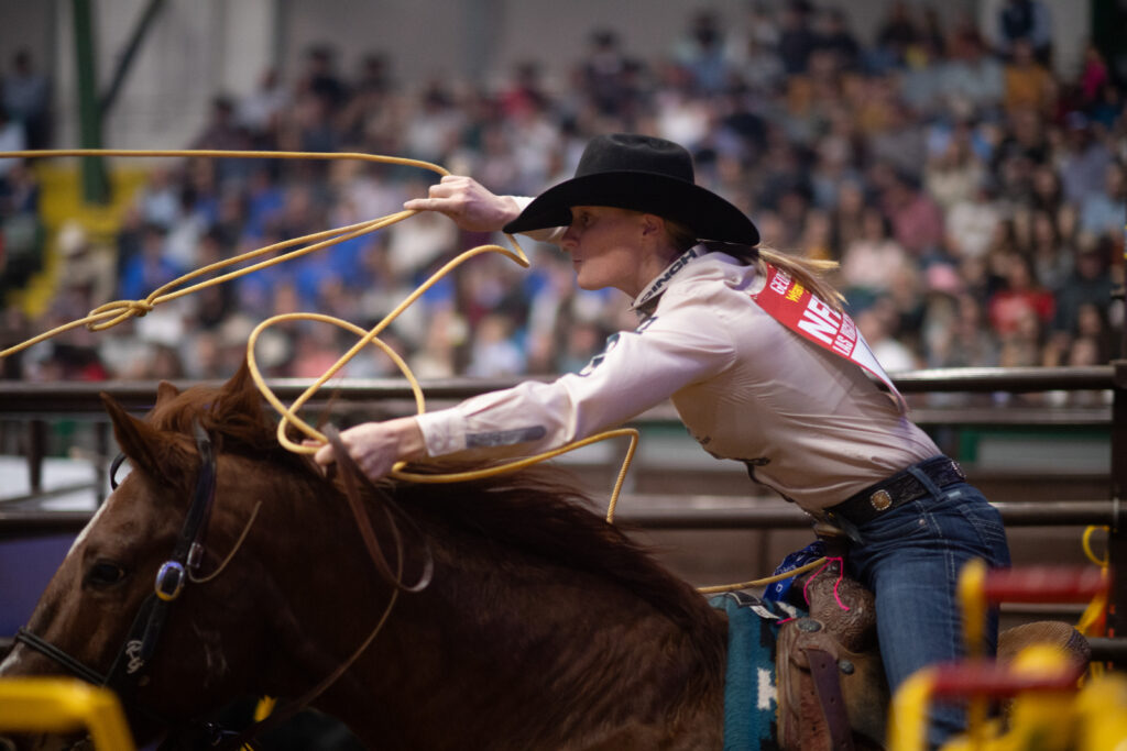 Roper on brown horse swings lasso during rodeo competition with spectators in background