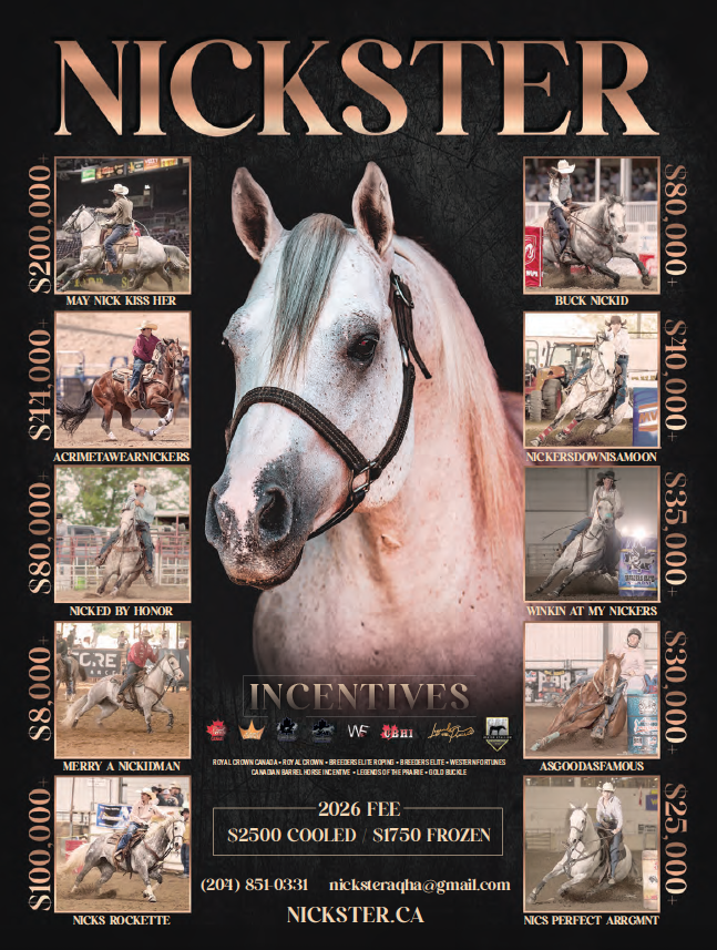 Nickster horse breeding incentives poster featuring a palomino stallion's portrait surrounded by rodeo action photos and prize money amounts up to $200,000