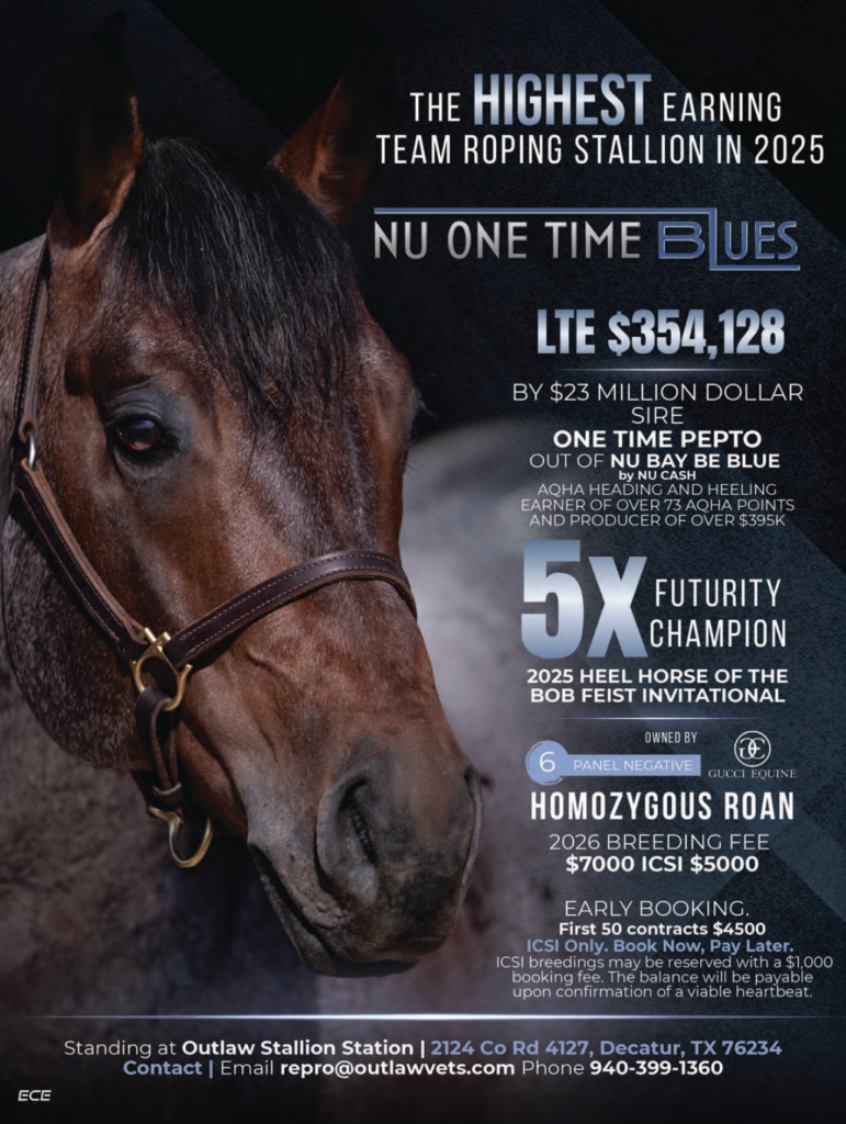 Brown team roping stallion "Nu One Time Blues" wearing halter, with text overlay listing earnings, pedigree, and breeding information for Outlaw Stallion Station in Decatur, Texas