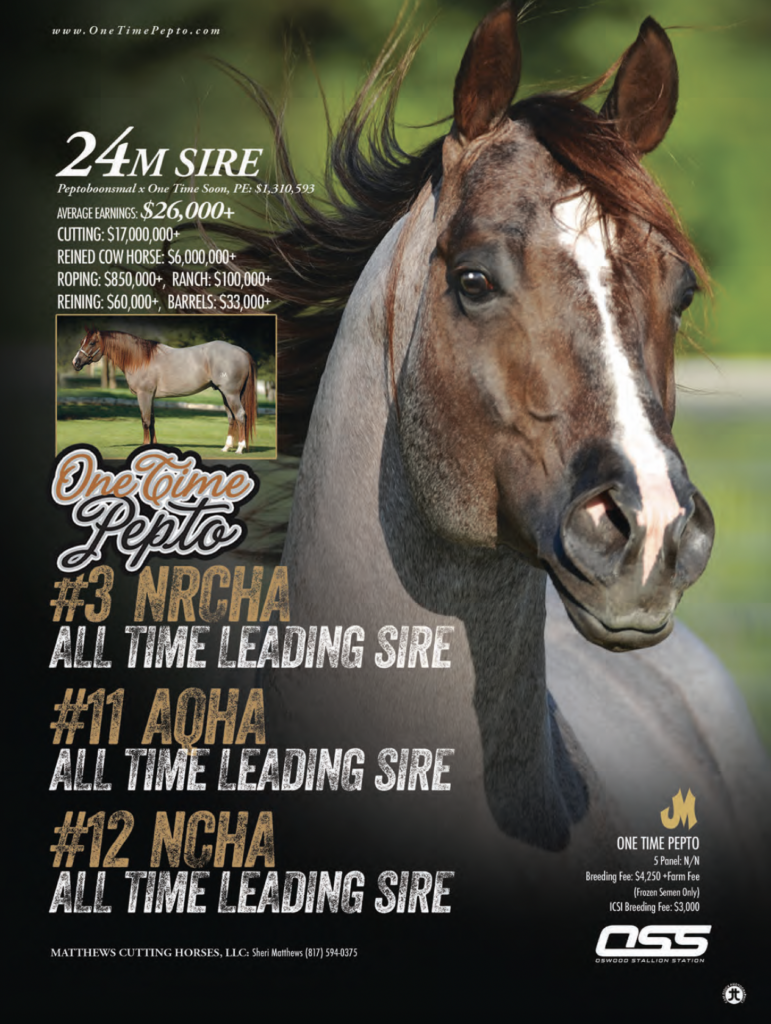 24M Sire stallion portrait with earnings and statistics displayed, noting his rankings as all-time leading sire in multiple rodeo disciplines