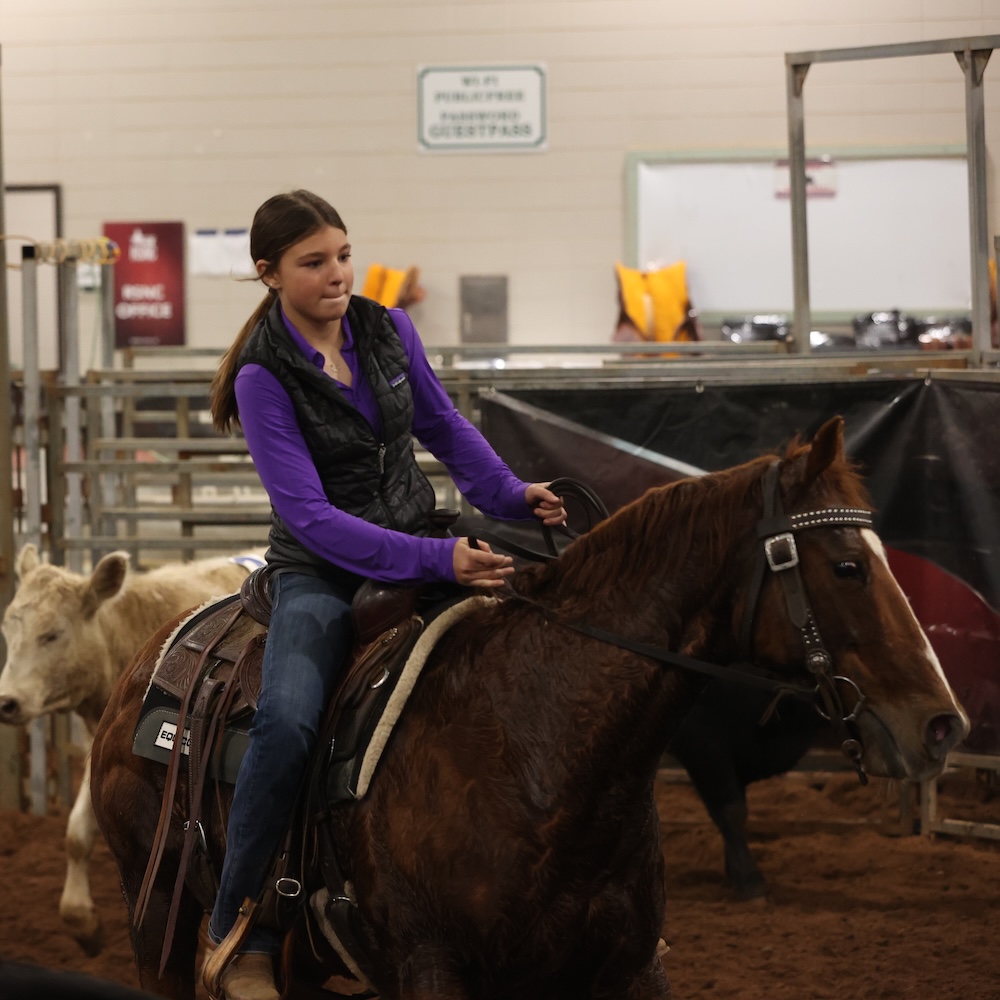 Young rider in a purple shirt and black vest sits a sorrel horse in an indoor arena with cattle behind her