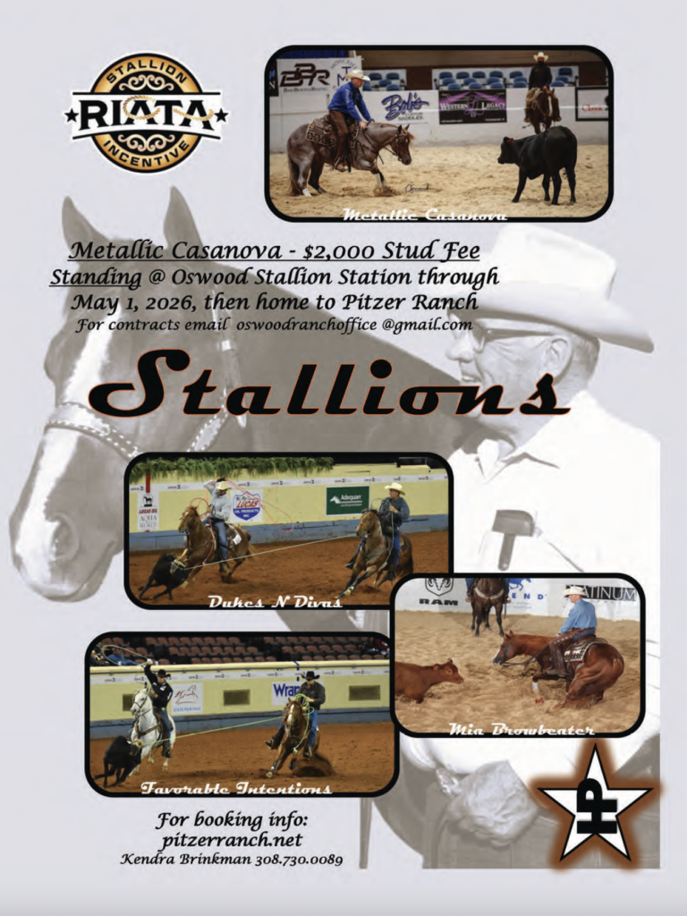Riata Stallion Incentive promotional flyer featuring Metallic Casanova standing at stud for $2,000, with action photos of barrel racing, team roping, and breakaway roping competition