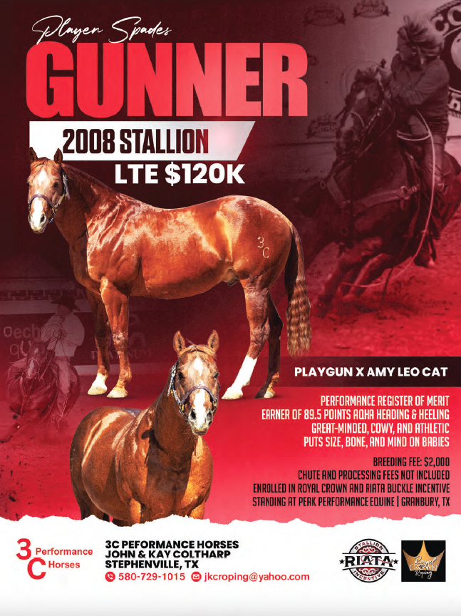 Gunner, a 2008 sorrel stallion by Playgun x Amy Leo Cat, advertised for $120,000 LTE with performance pedigree details and breeding information for 3C Performance Horses