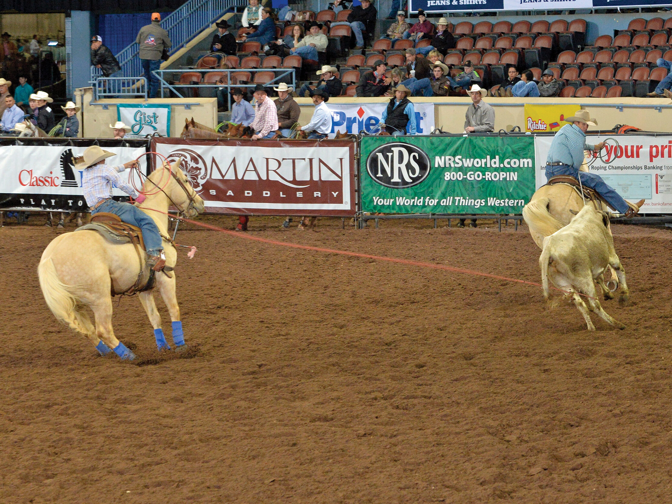 Team ropers on palomino horses stretch a steer between them in an indoor arena lined with sponsor banners and spectators
