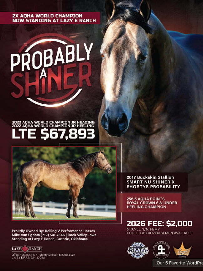 Stallion breeding ad for buckskin quarter horse Probably A Shiner, showing a head shot and full-body conformation photo