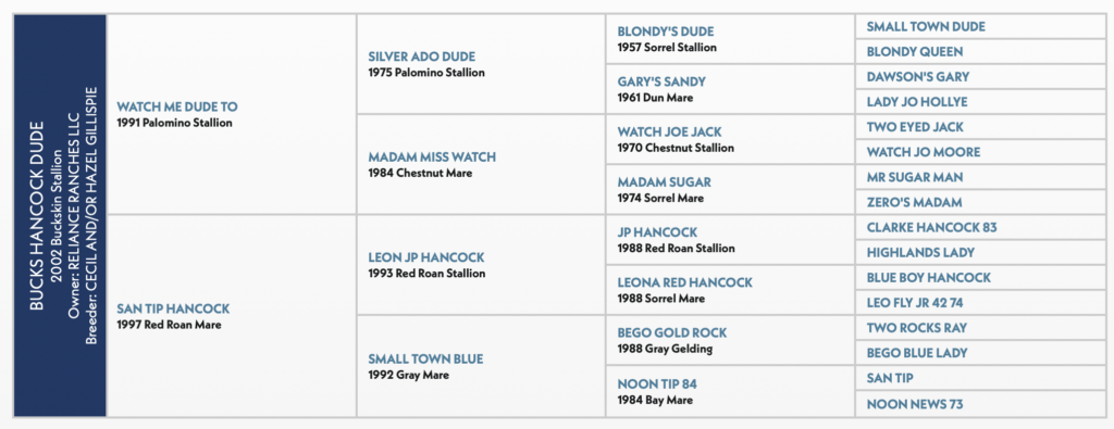 Five-generation pedigree chart for Bucks Hancock Dude, a 2002 buckskin stallion, listing sires and dams with colors and foaling years