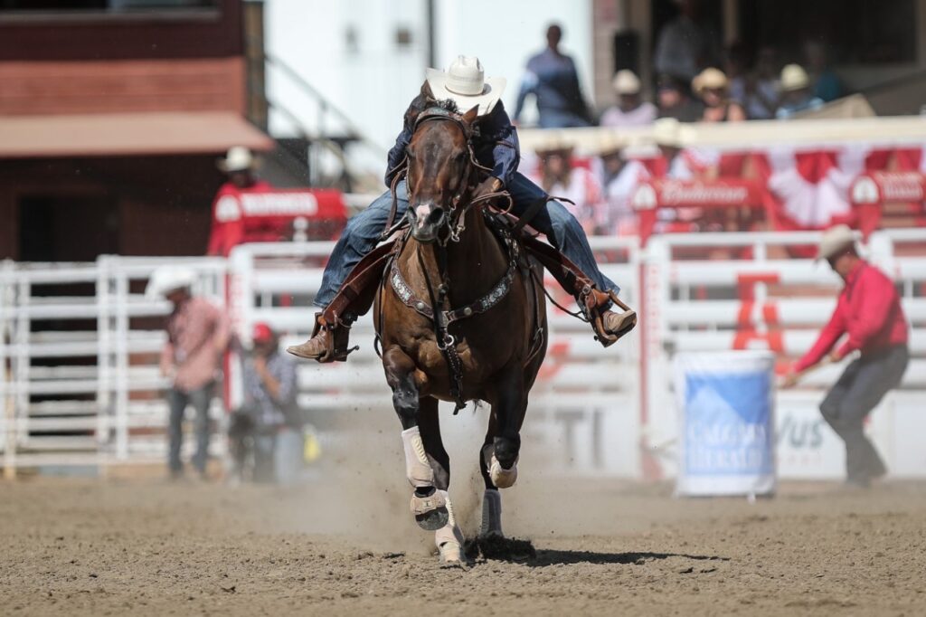Kassie Mowry Professional Barrel Racing World Standings