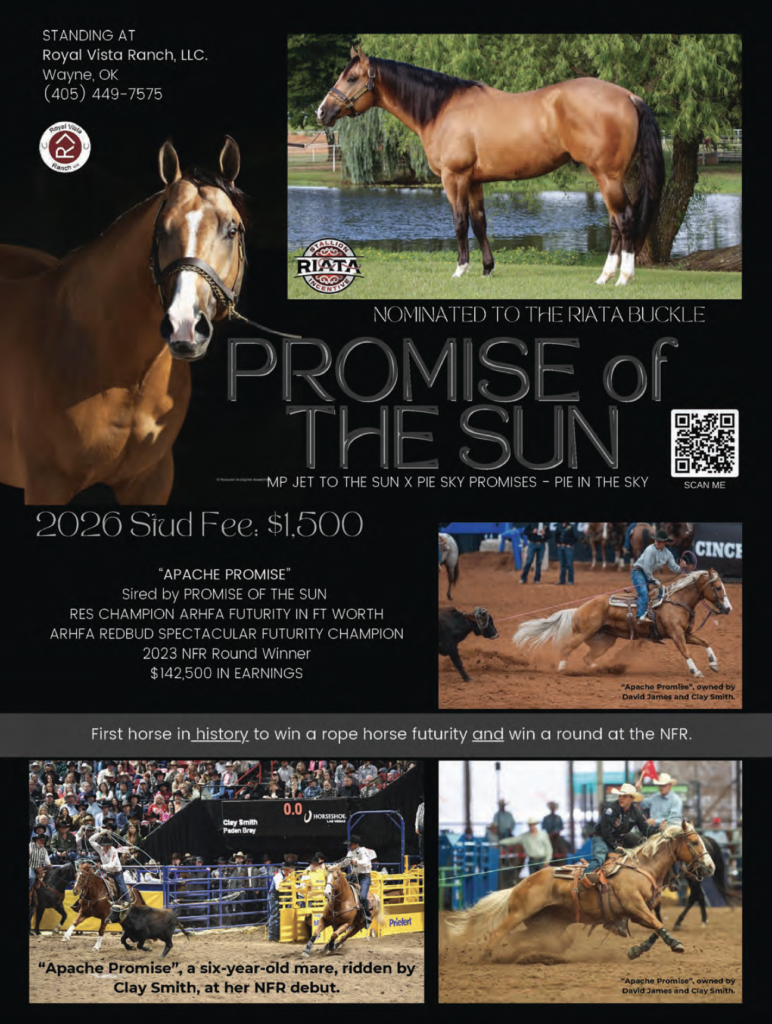 Promise of the Sun stallion standing at Royal Vista Ranch, nominated to RIATA Buckle, with 2026 stud fee of $1,500