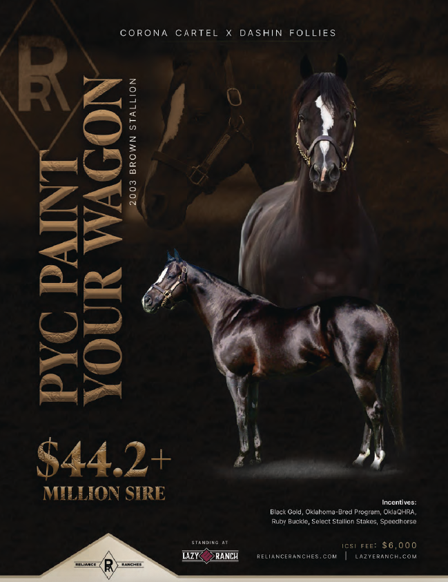Pycpaint Your Wagon stallion advertisement featuring a dark bay horse with white blaze standing in profile against a dark background, promoted by Corona Cartel and Dashin Follies