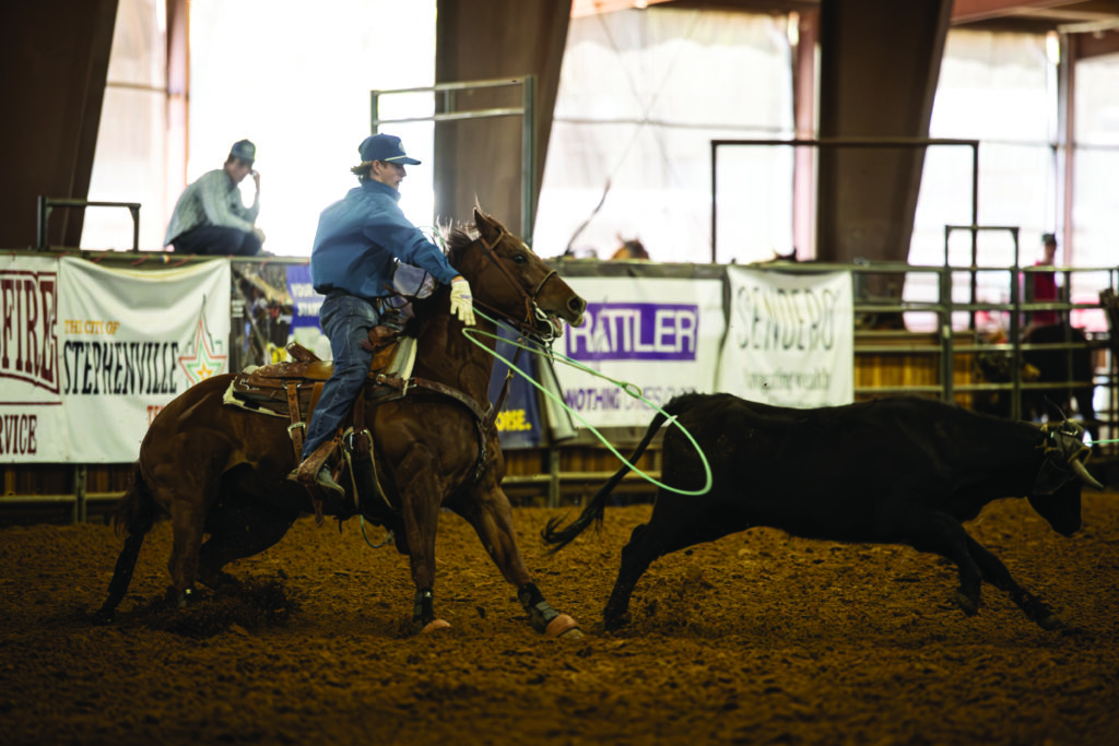 Roper in blue shirt and cap swings a loop from a sorrel horse as a black steer runs across the arena dirt