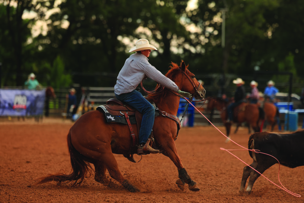Cowboy in a white hat and light shirt rides a sorrel horse hard to the right, rope stretched taut to a steer