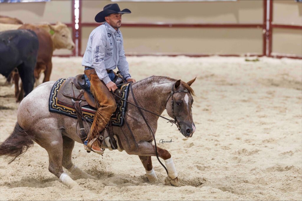 Cowboy on sorrel horse in arena during ranch work or roping event, with cattle visible in background