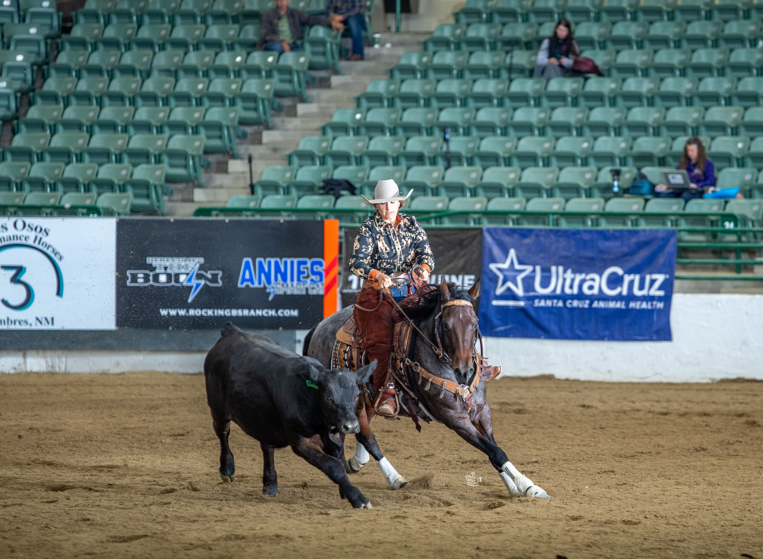 Cowboy on horseback working a black steer during a rodeo event in an indoor arena with sponsor banners visible