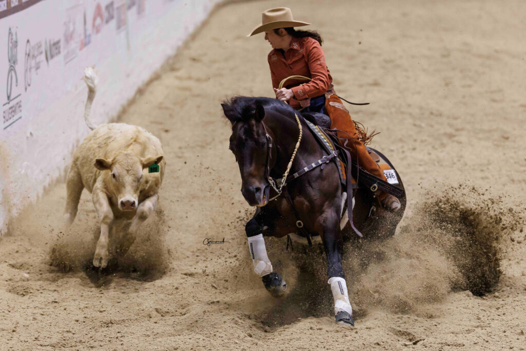 Cutting horse rider in a cowboy hat and rust shirt slides her bay horse through deep arena sand while working a white calf
