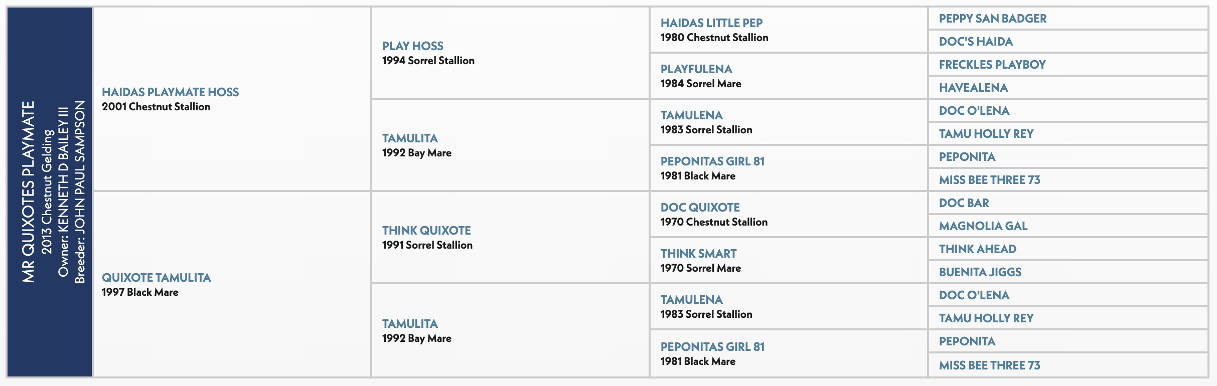 Four-generation pedigree chart for Mr Quixotes Playmate, a 2013 chestnut gelding, listing sire and dam lines