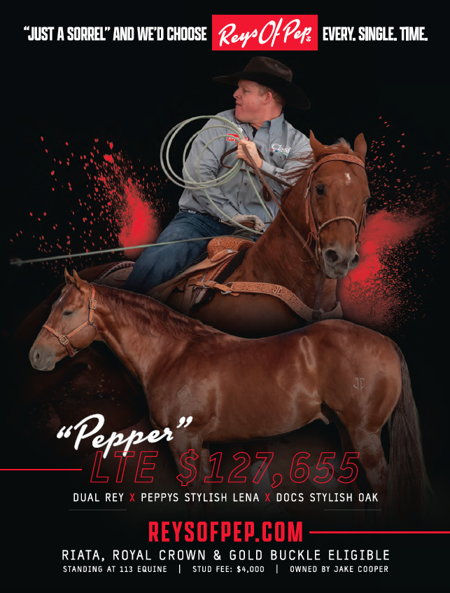 Stallion ad for "Reys Of Pep" showing a roper swinging a loop aboard a sorrel horse above a conformation shot of the same stallion