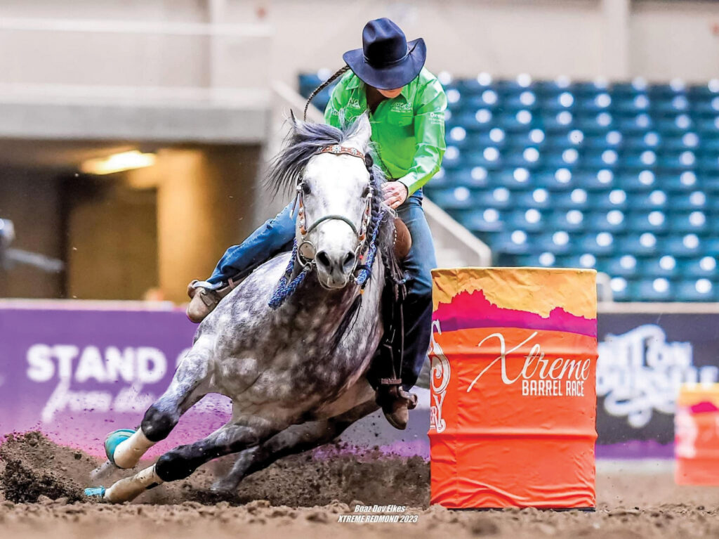 Barrel racer on gray horse leaning into turn around red barrel at indoor rodeo arena