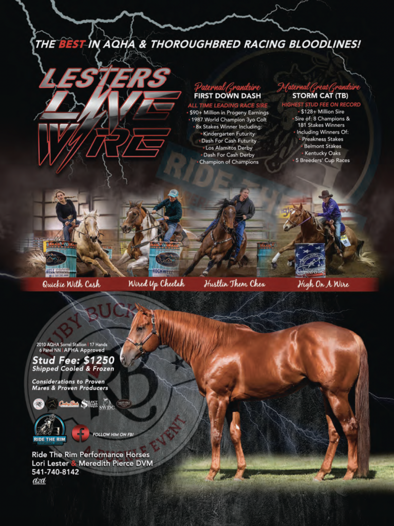 Lesters Dine Wire stallion advertisement featuring a chestnut horse with pedigree information, stud fee details, and photos of four barrel racing competitors on horseback