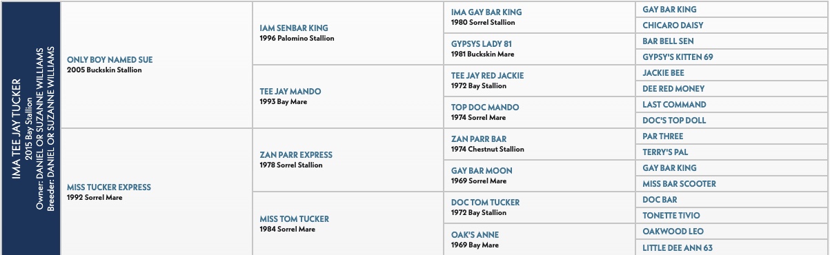 Five-generation pedigree chart for Ima Tee Jay Tucker, a 2015 bay stallion, listing sires and dams by name, year and color