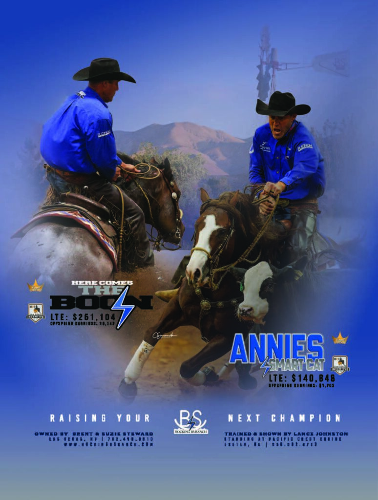 Two cowboys in blue shirts on saddled horses with a mountain backdrop, promoting bucking bulls and barrel racing horses with earnings information