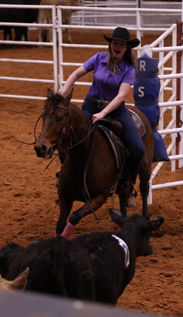 Cowgirl in a purple shirt and black hat turns her bay horse sharply as she works cattle in an indoor arena