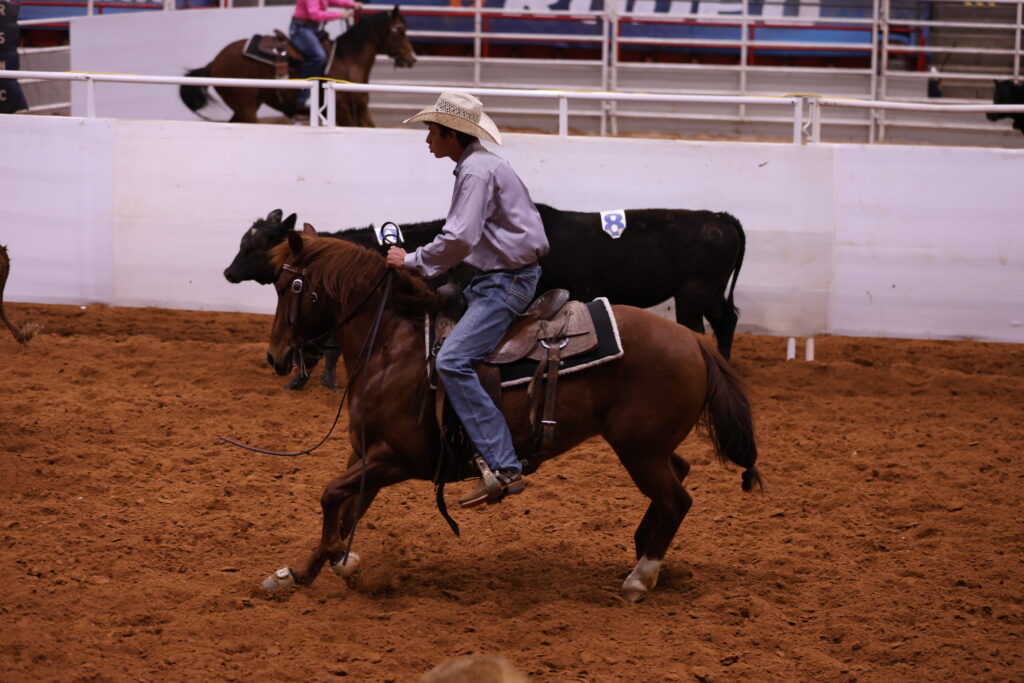 Young cowboy in a straw hat rides a sorrel horse across the arena as a black steer moves behind him