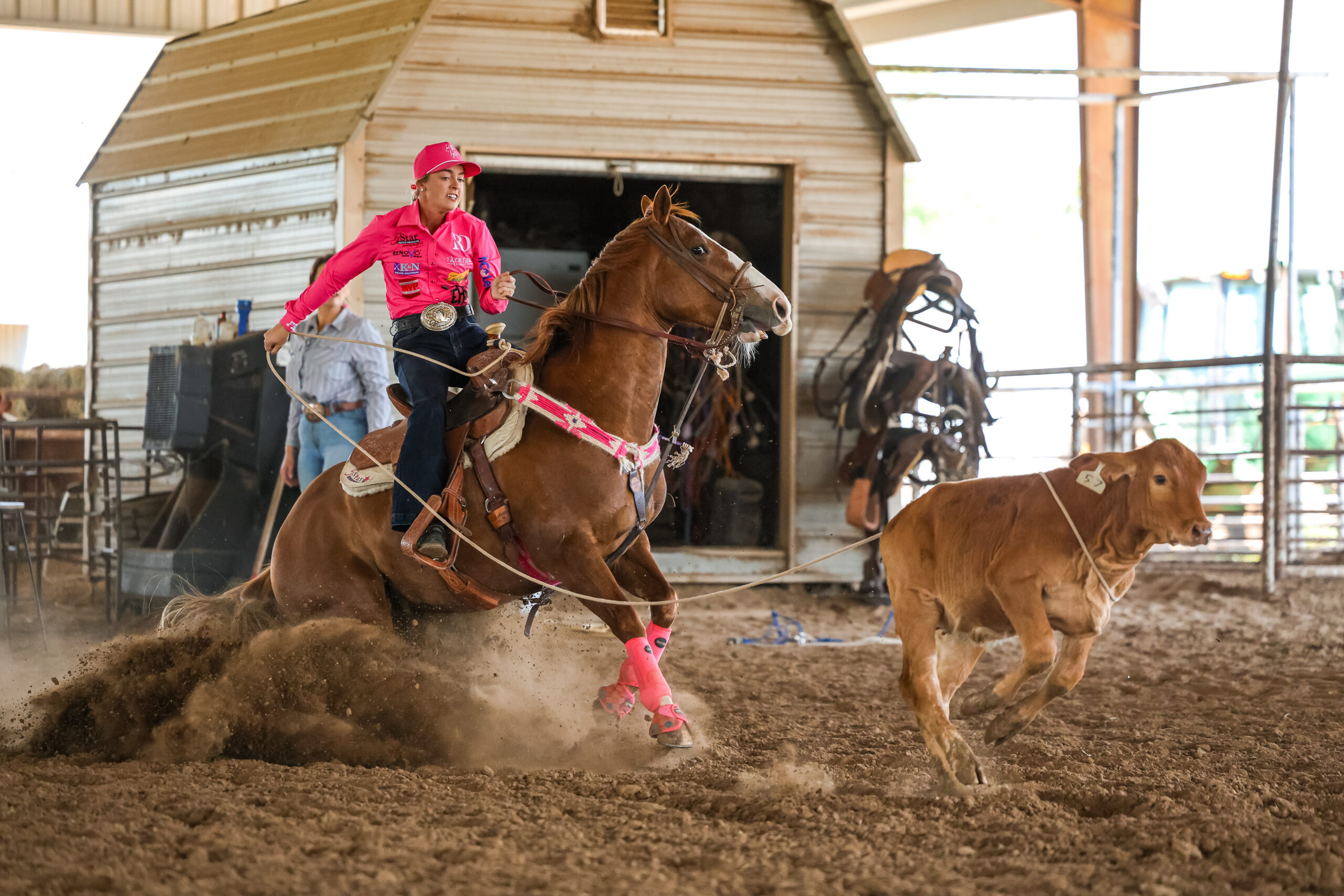 Breakaway roper in a pink shirt and cap sits deep as her sorrel horse stops hard in the dirt, rope tight to a running calf