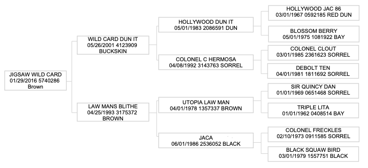 Five-generation pedigree chart for Jigsaw Wild Card, listing sires and dams with registration numbers, foaling dates and coat colors