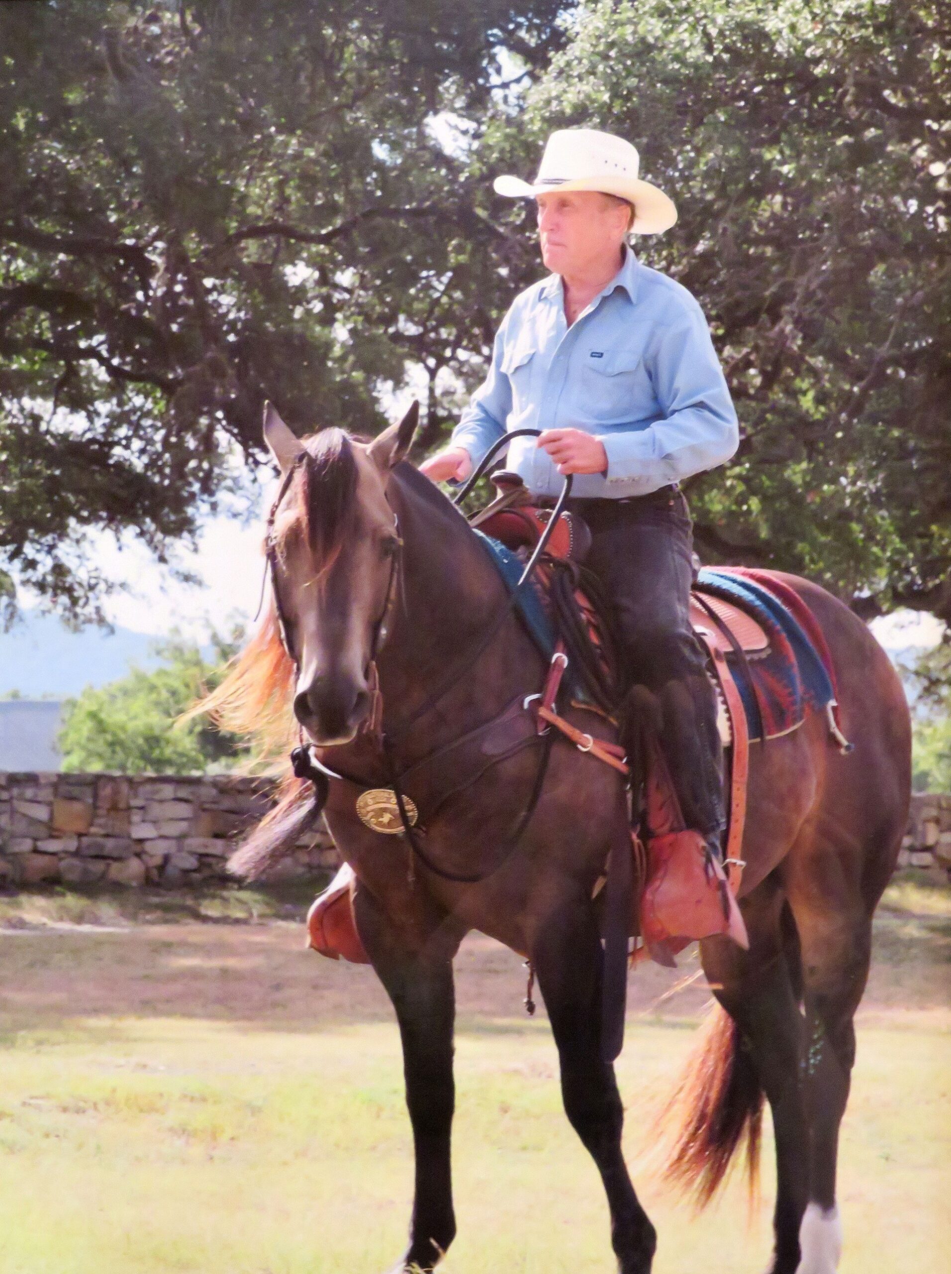 Robert Duvall rode Wild Card Dunit for the movie "Seven Days in Utopia."