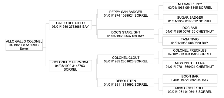 Four-generation pedigree chart for Allo Gallo Colonel, a 2008 sorrel, listing sires and dams with foaling dates and registration numbers