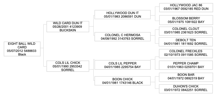 Four-generation pedigree chart for Eight Ball Wild Card, a 2012 black horse, listing sires and dams with registration numbers