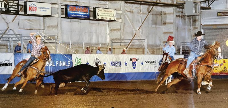 Team ropers head and heel a steer in an indoor arena as spectators watch from behind the sponsor banners