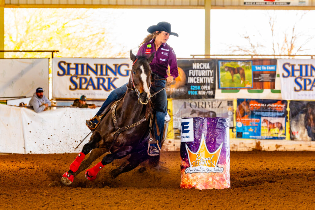 Ashley Schafer and Fiesta By Design in the Royal Crown Derby.