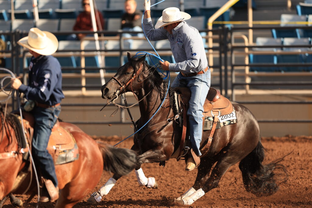 Roper on horseback swinging a lasso during team roping event at rodeo arena with spectators in bleachers behind