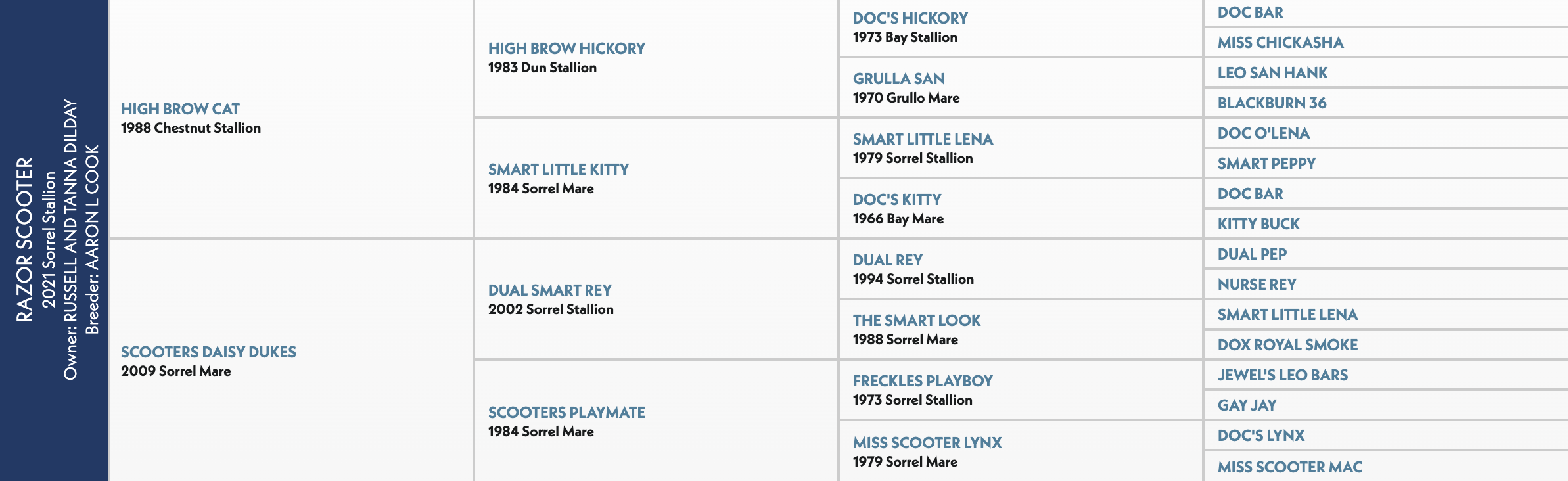 Five-generation pedigree chart for Razor Scooter, a 2021 sorrel stallion by High Brow Cat out of Scooters Daisy Dukes