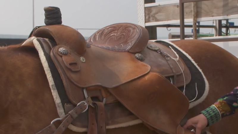 Tooled Western saddle with silver conchos sits on a chestnut horse's back over a fleece pad as a hand reaches toward the cinch